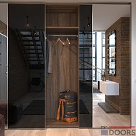 Шкаф-купе, коллекция "Скрин Флекс" (арт. 066)