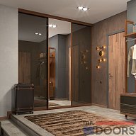 Шкаф-купе, коллекция "Visio-T" (арт. 077)