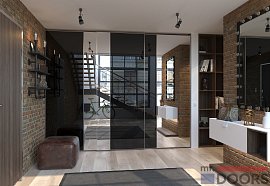 Шкаф-купе, коллекция "Скрин Флекс" (арт. 066)