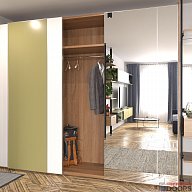 Шкаф-купе, коллекция "Скрин Флекс" (арт. 081)