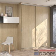 Шкаф-купе, коллекция "Шифт" (арт. 088)