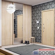 Шкаф-купе, коллекция "Метрополитан" (арт. 042)